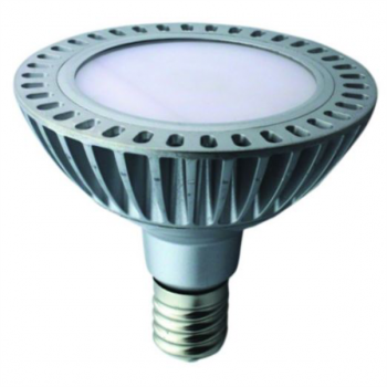 230VAC 32W WARM WHITE LED PAR56 SPOT LIGHT E27