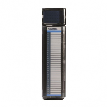 PACSystems™ RX3i DC Voltage Output module, 12/24V, 2A, 8 point