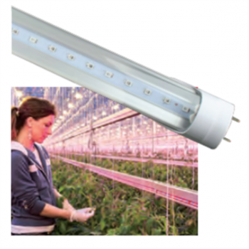 85-265VAC, 22W, 1500mm (5Ft), LED T8 IP65 PLANT GROWING TUBE