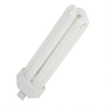 42W Cool White G24Q4 CF Lamp 4 Pin