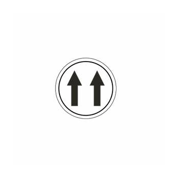 SYMBOL DISC - ARROW-FAST/WHITE