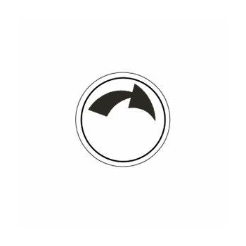 SYMBOL DISC - SPIN RIGHT 2 SPEED