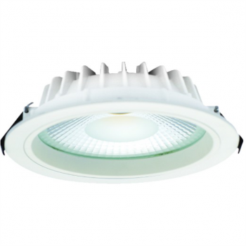 185-265VAC 20W LED Downlight Ø195 x 58mm Cool White Cut out Ø170mm