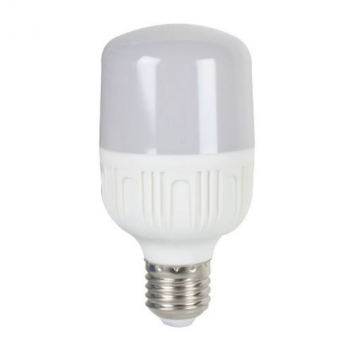 10W E27 LED Lamp 110VAC Non-Dimmable 5500K