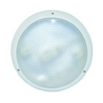 2D 100W Clear White Bulkhead Ø270x70 IP54